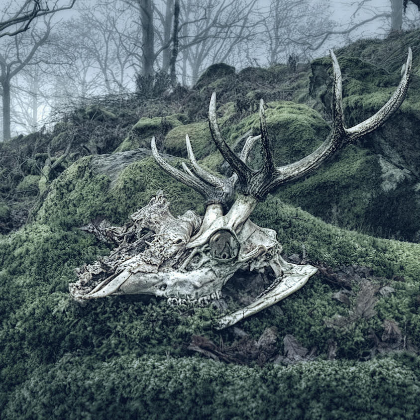 landscape photographers