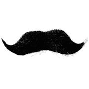 La Moustache