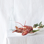 food & drink photographers