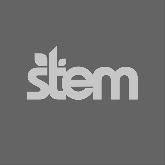 Stem Agency