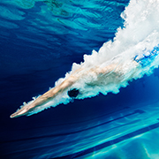 underwater photographers