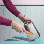 cinemagraph & GIF photographers