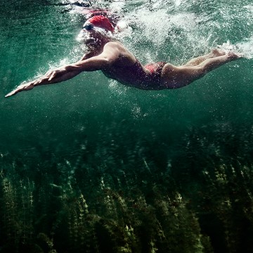 underwater photographers