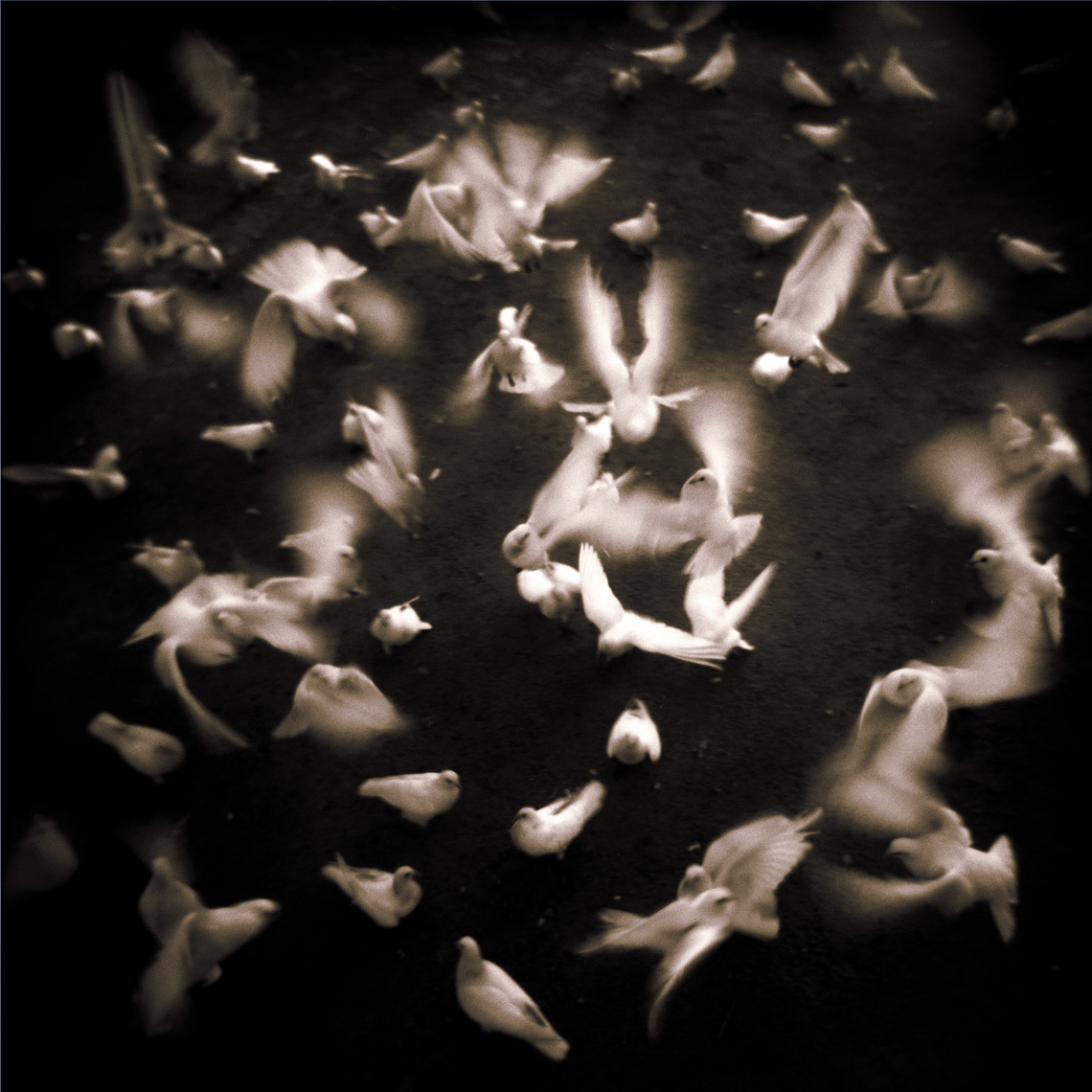 art & fine art photographers