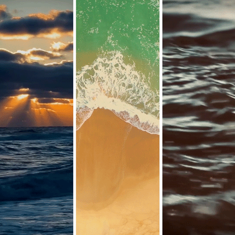 cinemagraph & GIF photographers