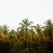 travel photographers
