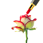 cosmetics photographers