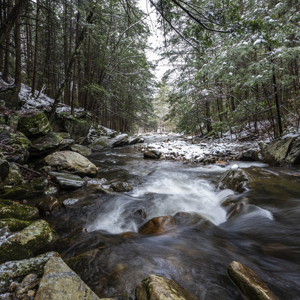 landscape photographers