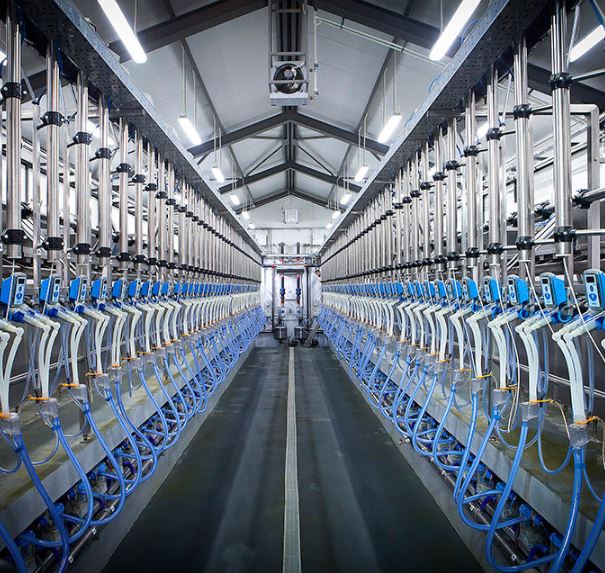 corporate & industrial photographers