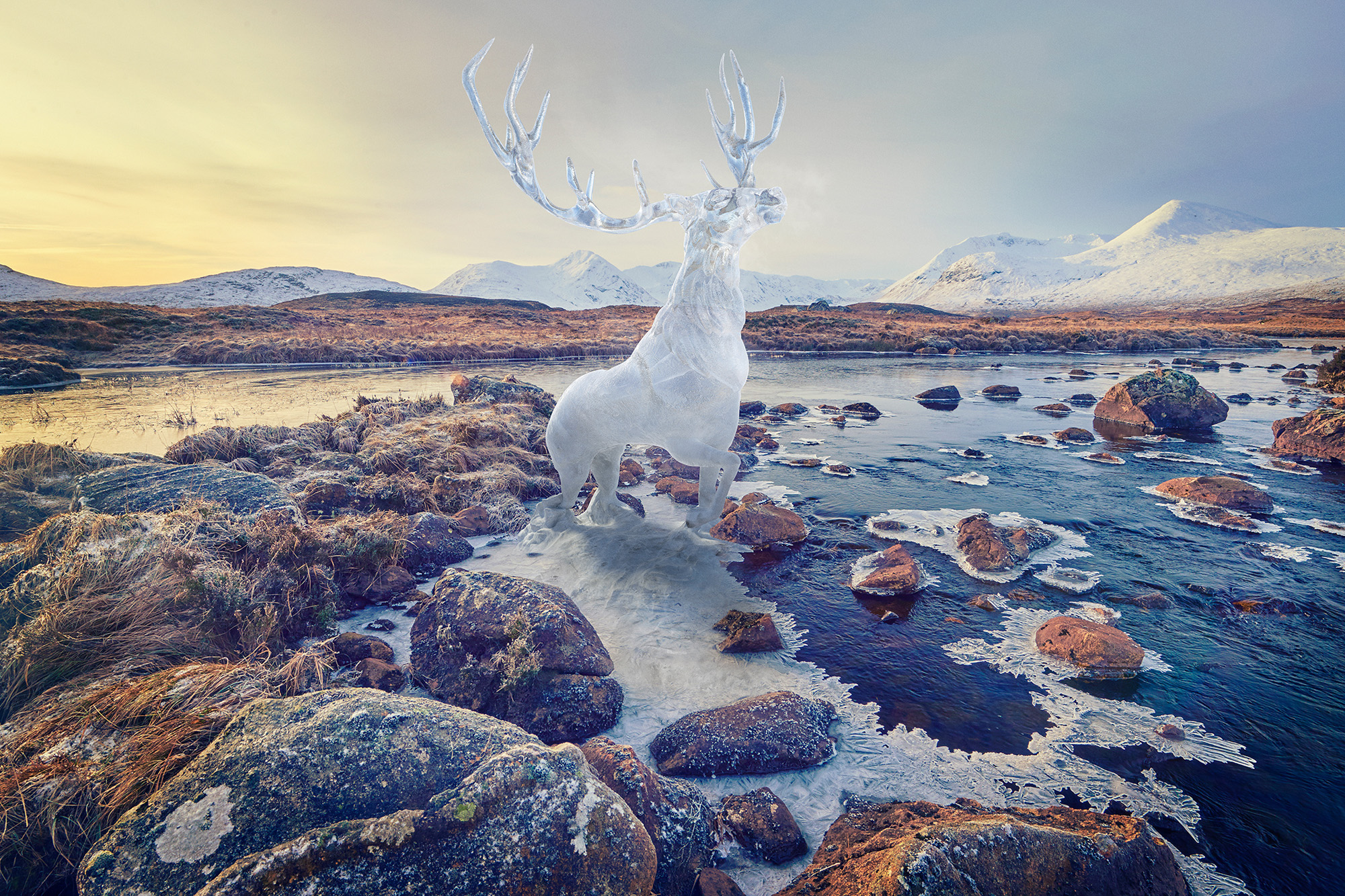 conceptual photographers