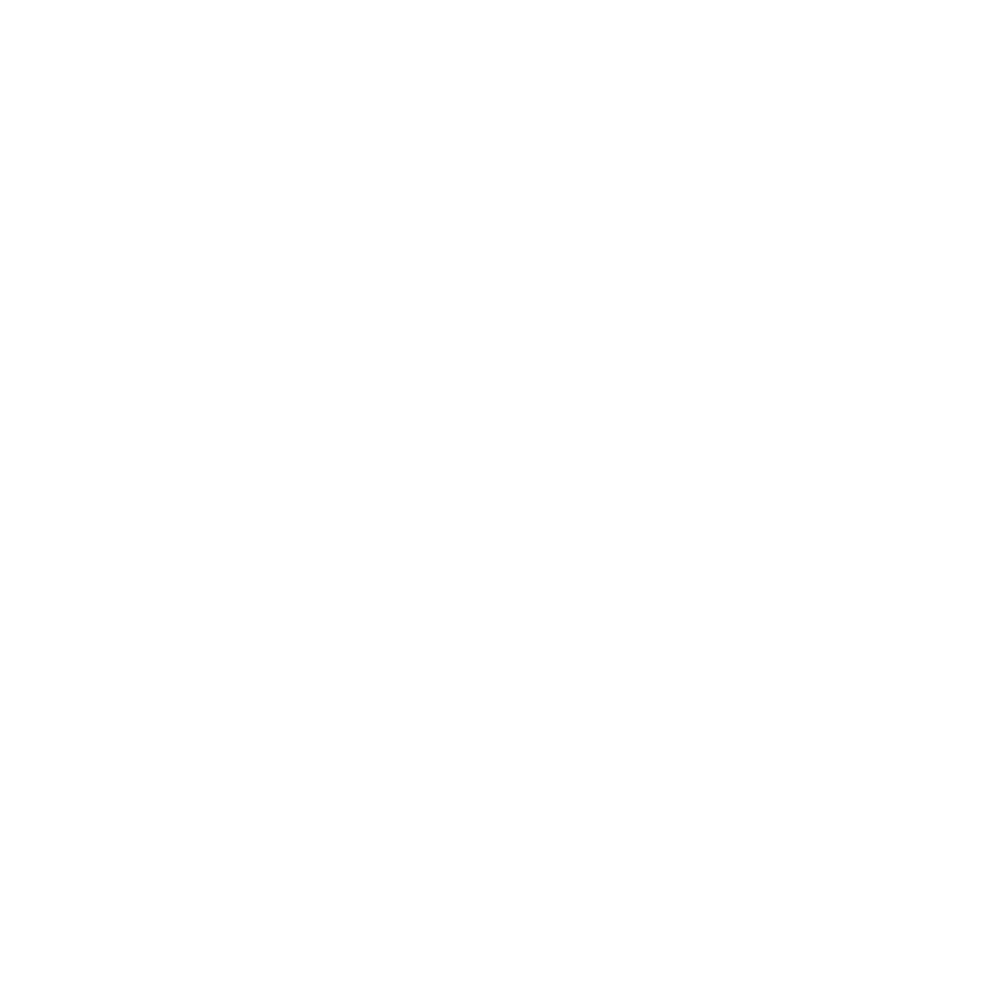 Agency MJ