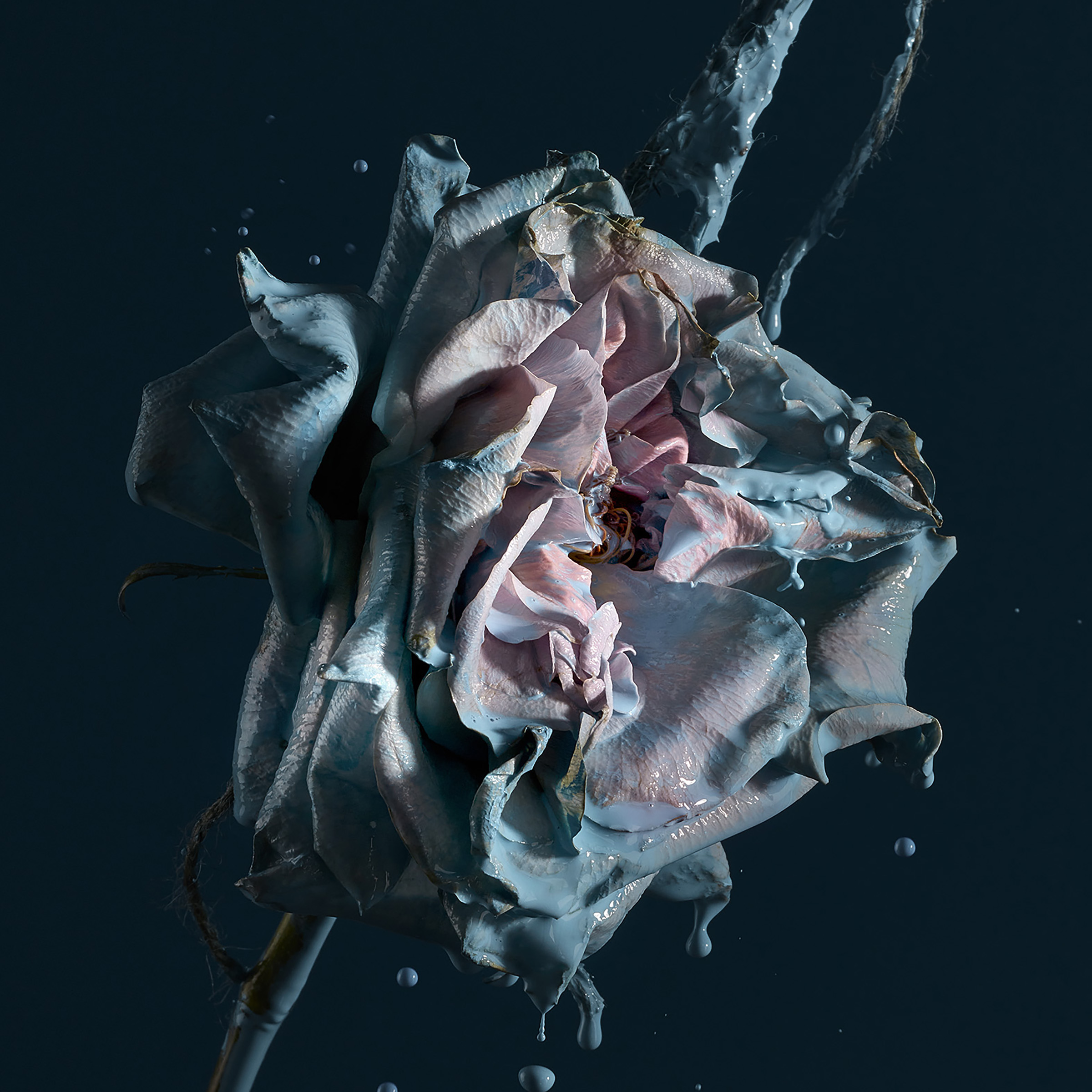 art & fine art photographers