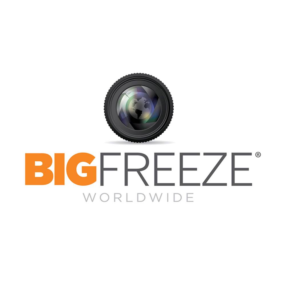THE BIG FREEZE WORLDWIDE