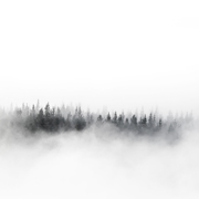 landscape photographers