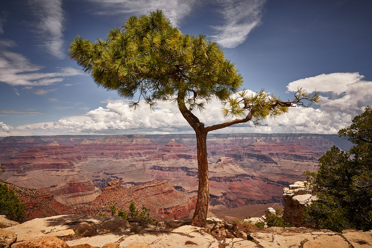 landscape photographers