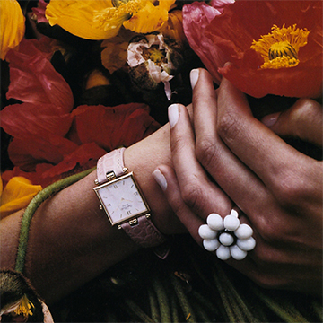 watches & jewellery photographers
