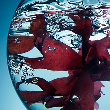 liquid & splashes photographers