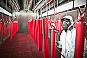 documentary & reportage photographers