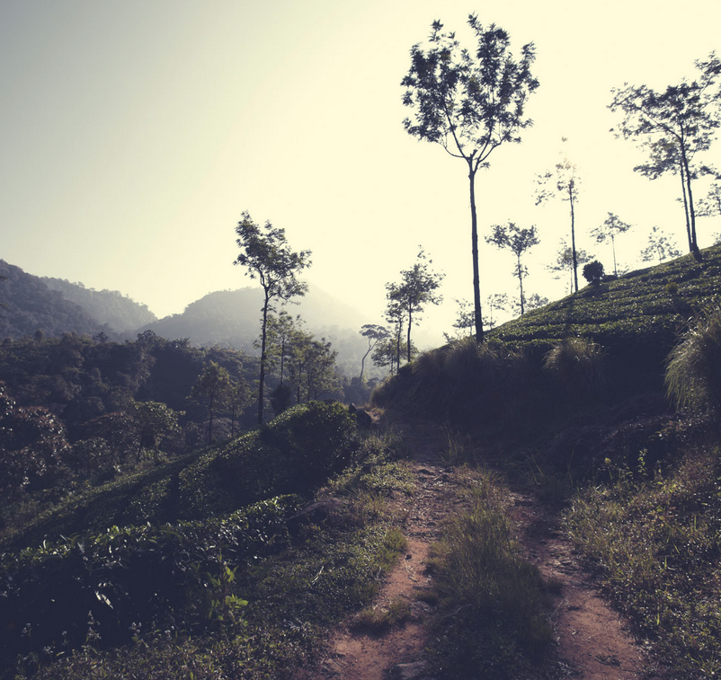 landscape photographers