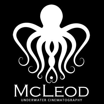 Andy McLeod