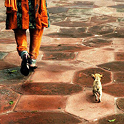travel photographers