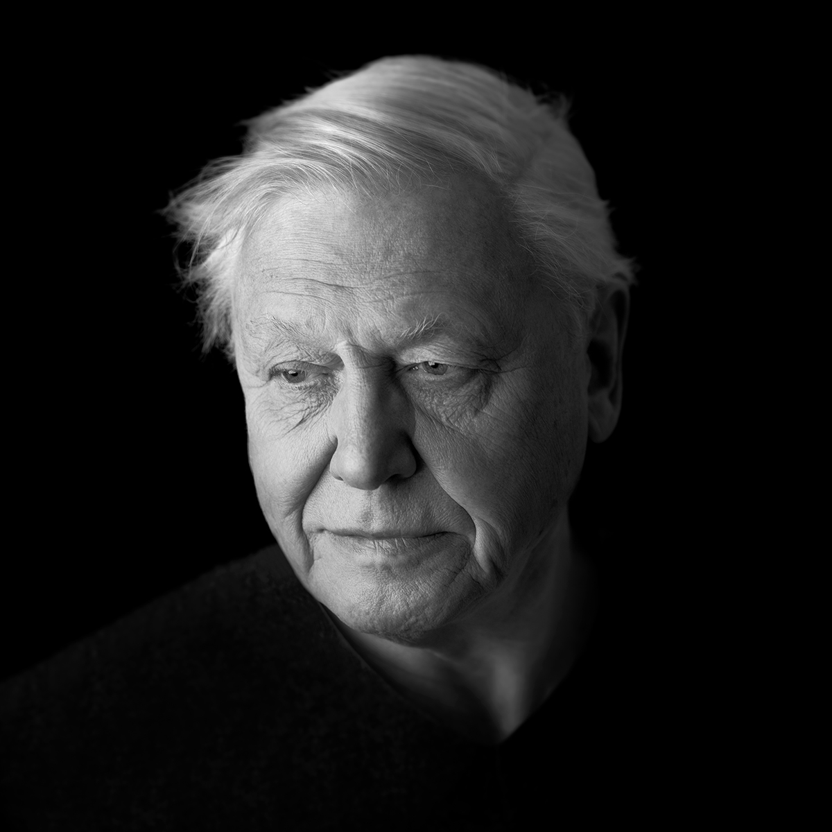 Richard Boll