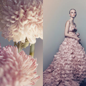 conceptual photographers