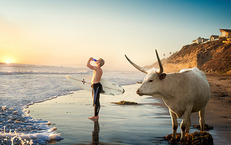 conceptual photographers