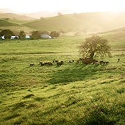 landscape photographers