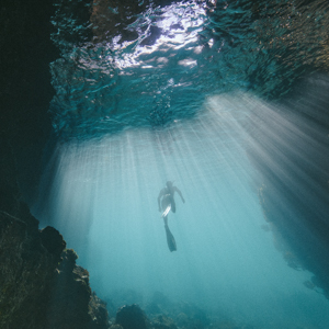 underwater photographers