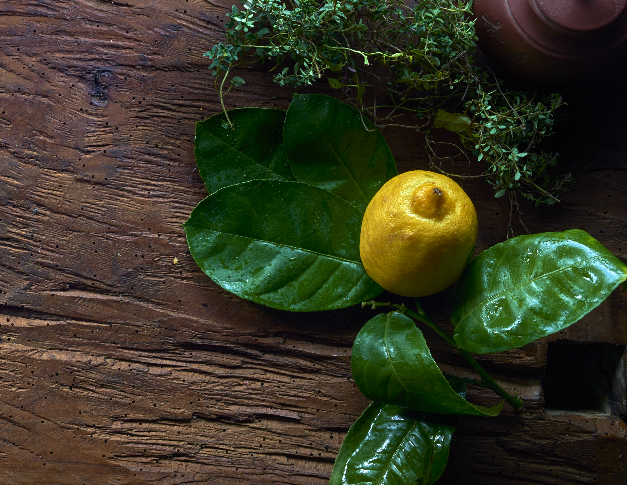 food & drink photographers