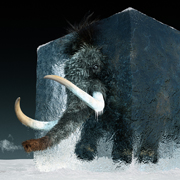 AI & CGI photographers