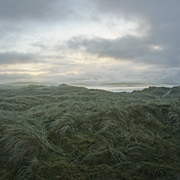 landscape photographers