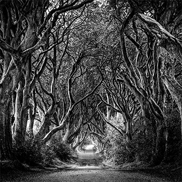 landscape photographers