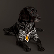 watches & jewellery photographers