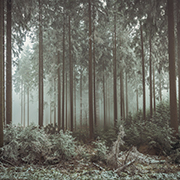 landscape photographers