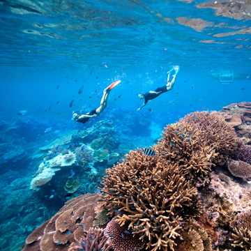 underwater photographers