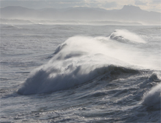 marine photographers