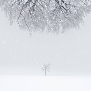 art & fine art photographers