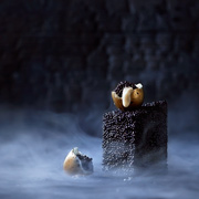 FoodShot