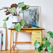 Stylists/ props, furnishing, interior
