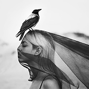 art & fine art photographers