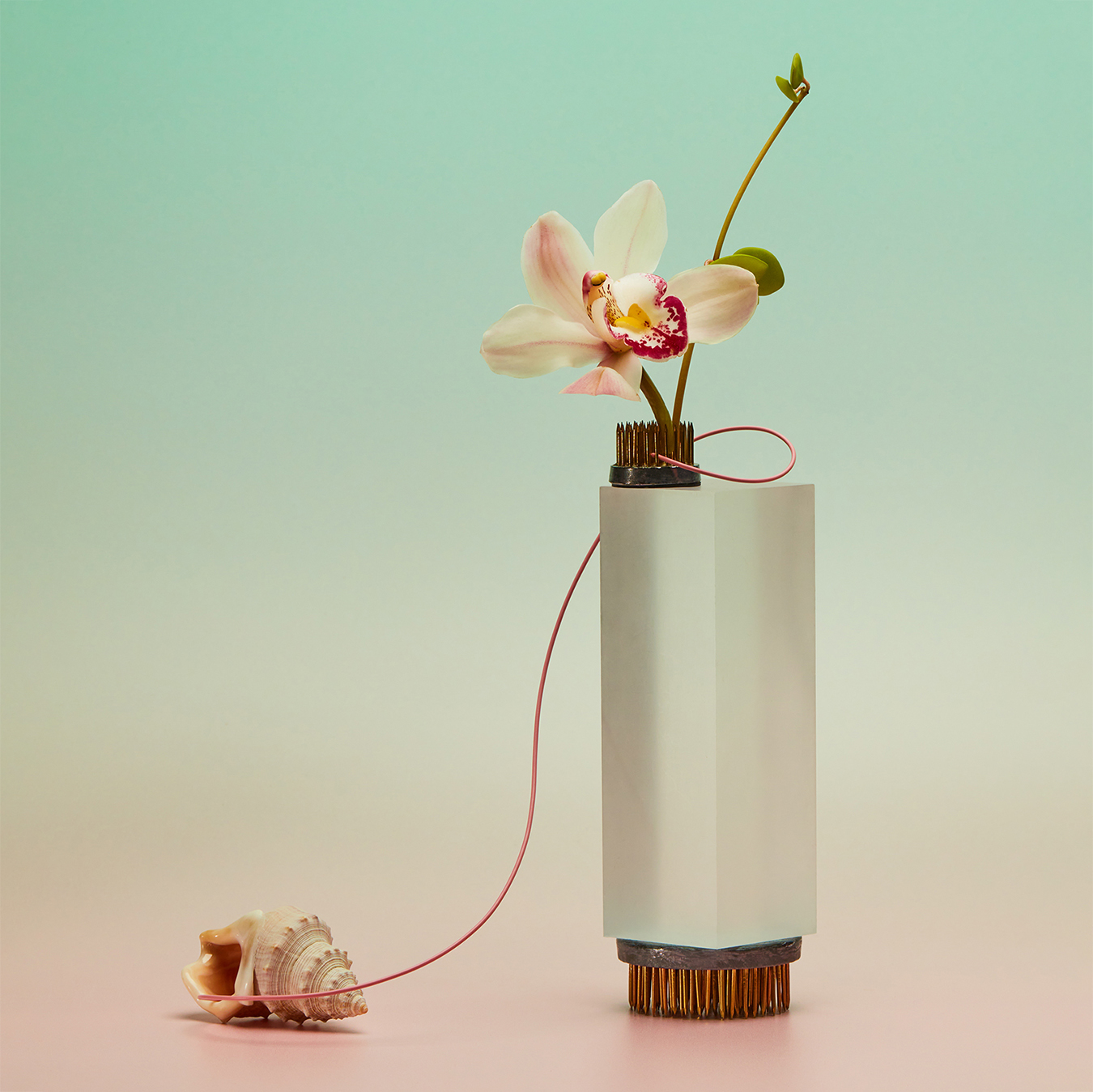 art & fine art photographers