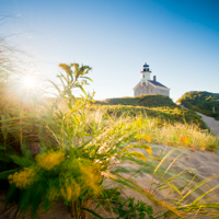 landscape photographers