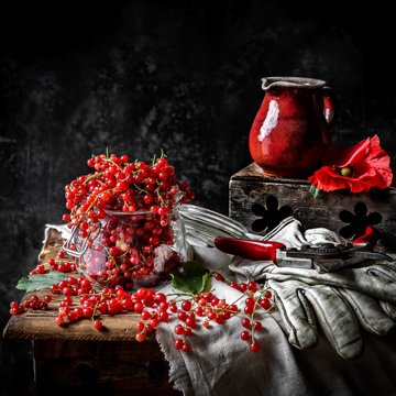 still life photographers