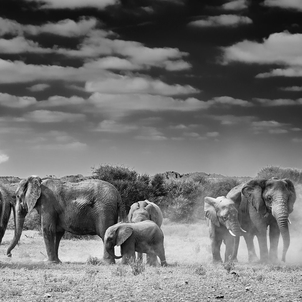 travel photographers