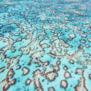 aerial & drone photographers