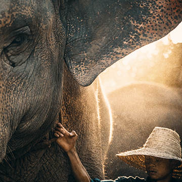 travel photographers
