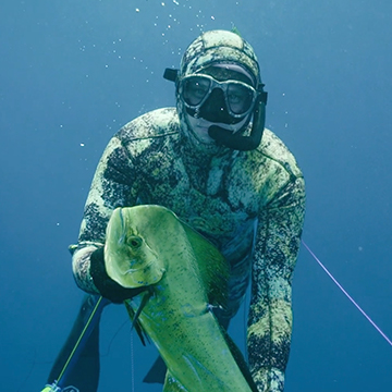 underwater photographers