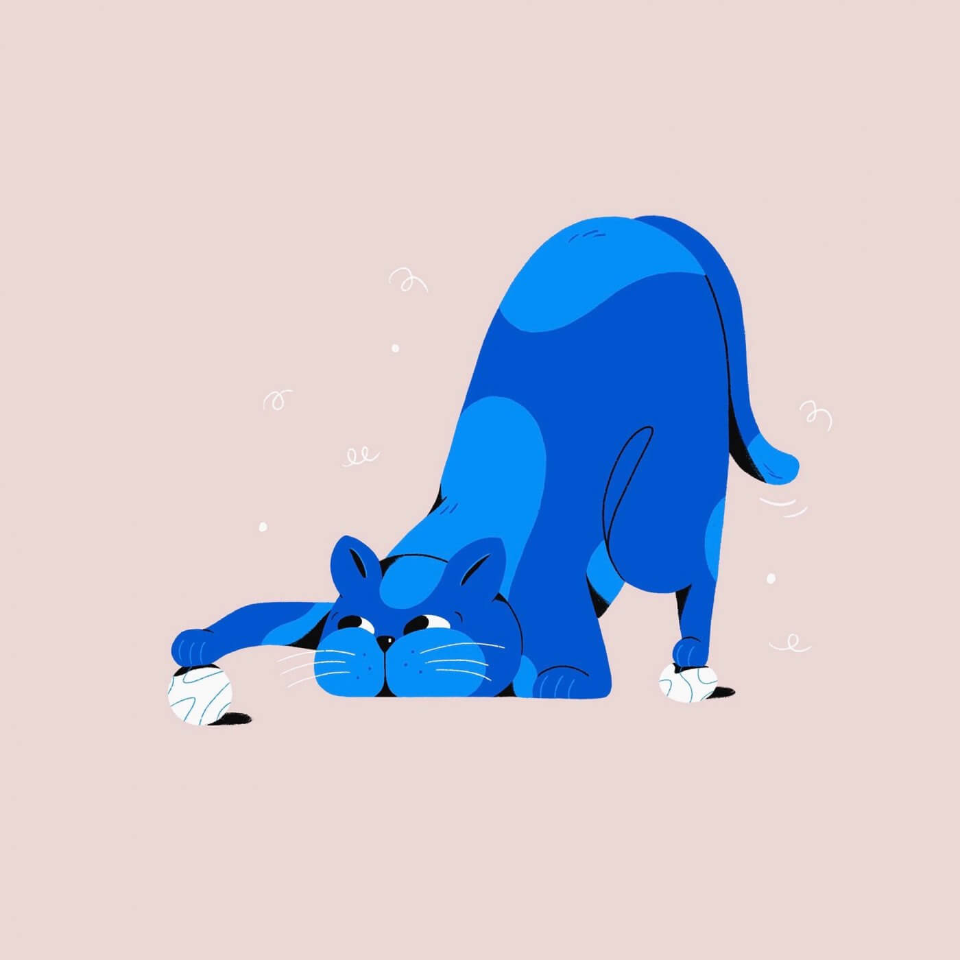 Itsacat Studio